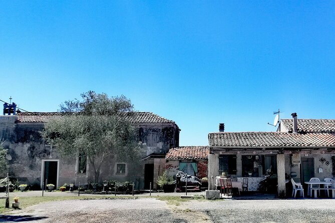 Lio Piccolo: Flamingos & Birdwatching Bike Tour in the Lagoon - Is the $203.07 price good value?