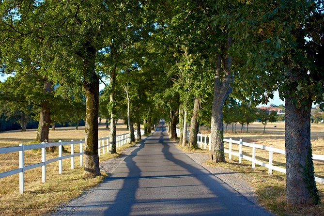 Lipica Stud Farm & Skocjan Caves - Small Group Tour from Trieste - What to bring and how to prepare