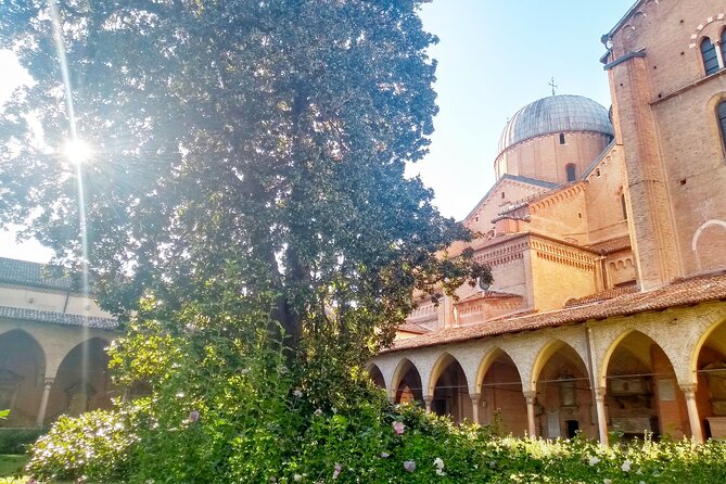 Live Padua as a local - Palazzo Bo offers a glimpse of Padua’s university life