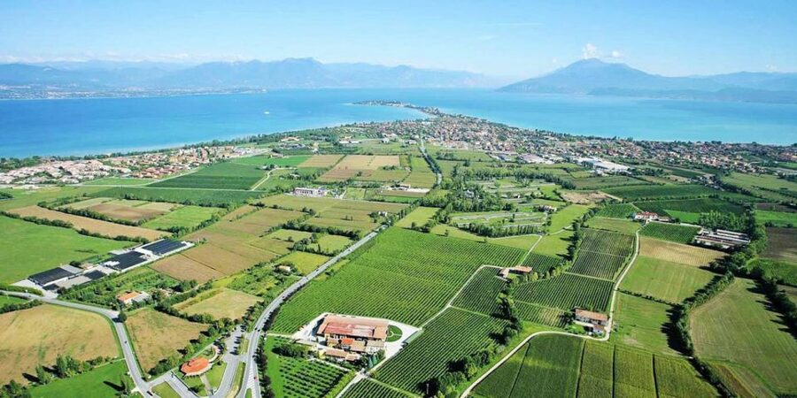 Lugana Wine Tour With Private Panoramic Boat on Lake Garda - Should you book this private Lugana wine tour?