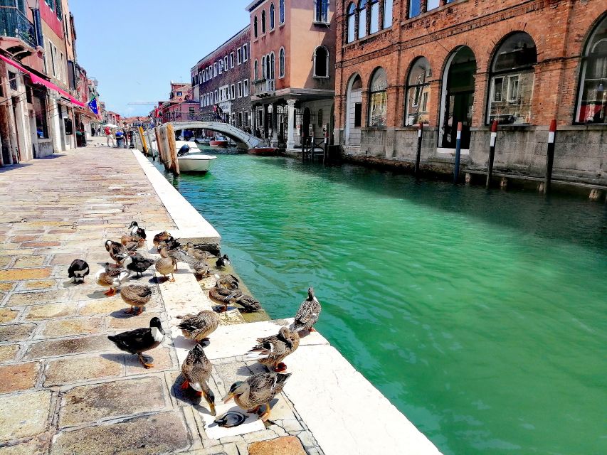 Murano: Glass Lampwork Workshop and Walking Tour - Walking Murano beyond the factory
