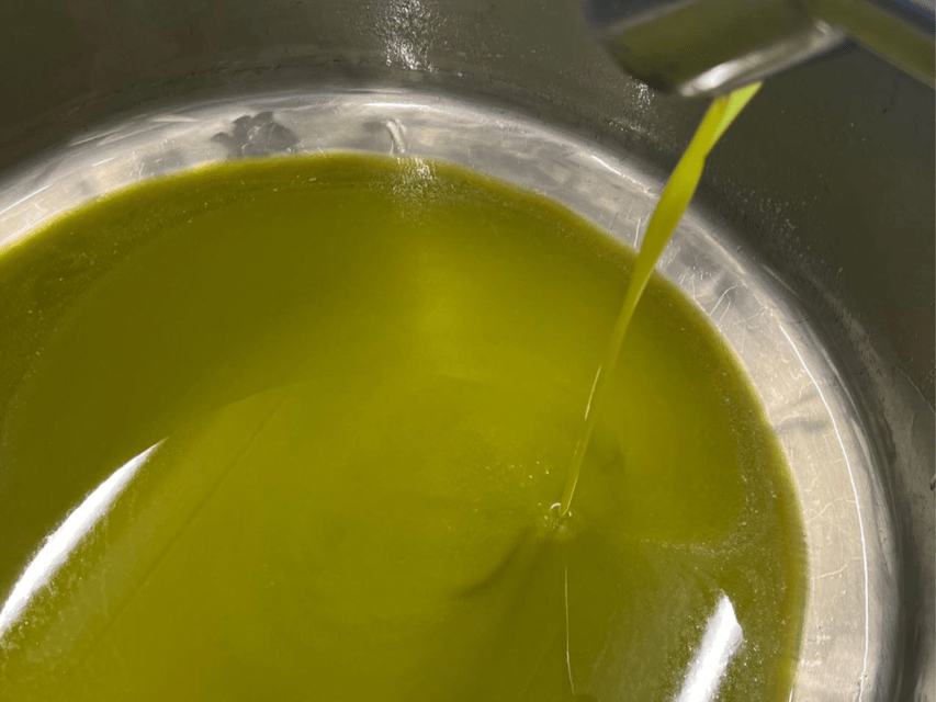Olive Mill Tour and Tasting in the Padua Hills - A historic mill in the Colli Euganei