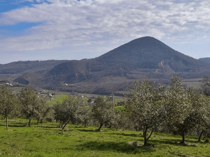 Olive Mill Tour and Tasting in the Padua Hills - Is $47 a fair price?