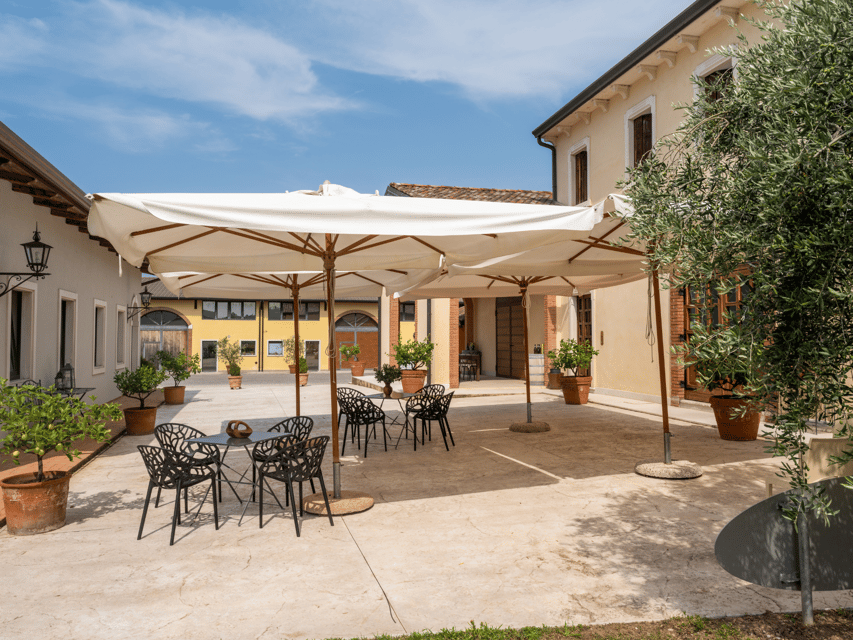 Olive Mill Tour and Tasting in the Verona Countryside - Should you book the Frantoio Bonamini visit?