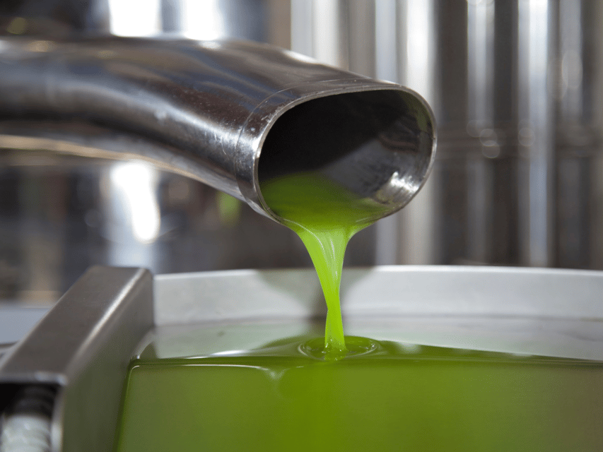 Olive Mill Tour and Tasting in the Verona Countryside - Inside the Frantoio 4.0 mill