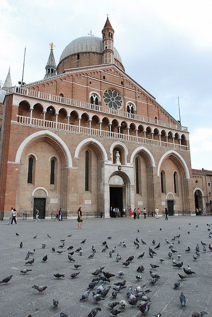 Padua City 2.5-Hour Walking Tour - Saint Anthony’s Basilica and Padua’s spiritual center