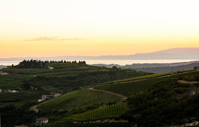 Pagus Wine Tours® - A taste of Amarone - Half day wine tour - Key points at a glance
