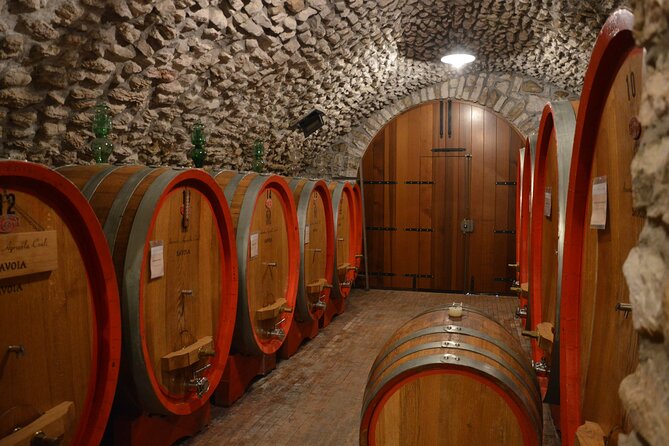 Pagus Wine Tours® - A taste of Amarone - Half day wine tour - Timing, comfort, and practical planning