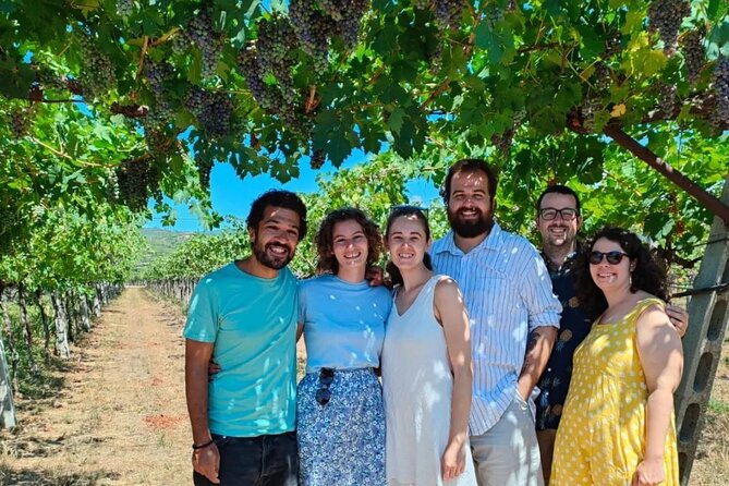 Pagus Wine Tours® - A taste of Amarone - Half day wine tour - Who will enjoy this Valpolicella outing