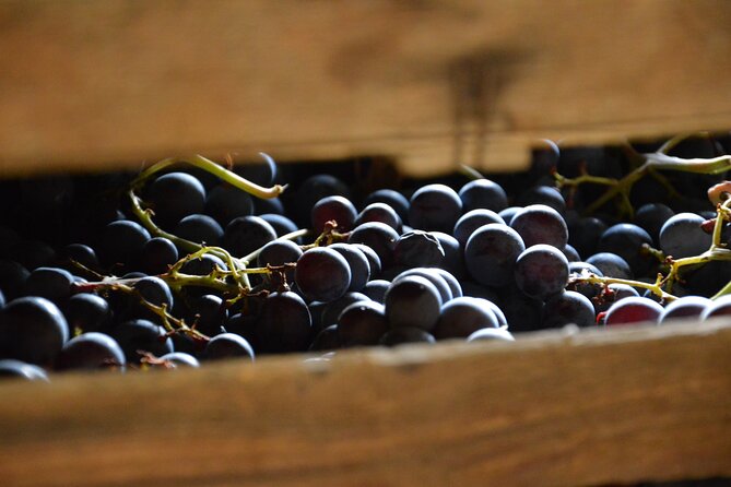 Pagus Wine Tours® - A taste of Amarone - Half day wine tour - San Giorgio di Valpolicella and its old church