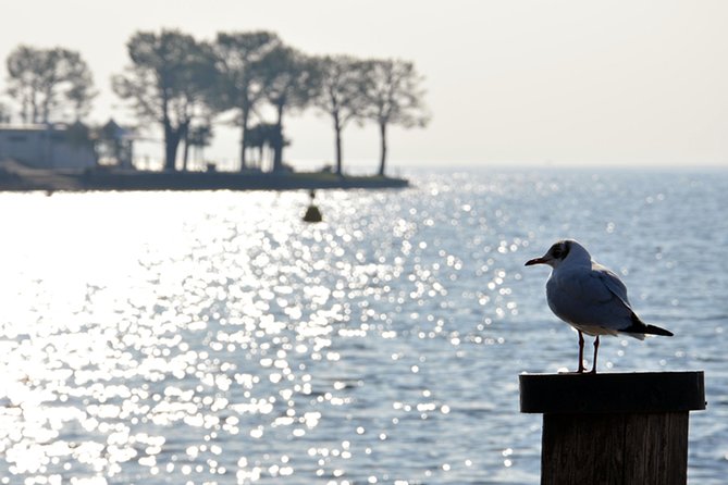 Pagus Wine Tours® - Sirmione by boat and Amarone - Full day tour - Starting at the Pagus Wine Tours store