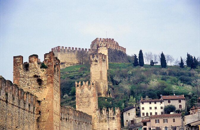 Pagus Wine Tours® - Soave and Amarone - Half day wine tour - Key points to know before booking