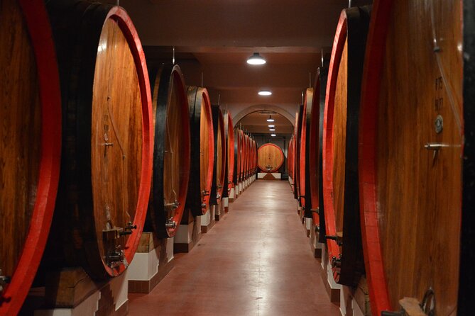 Pagus Wine Tours® - Soave and Amarone - Half day wine tour - Who should book this Soave and Amarone outing