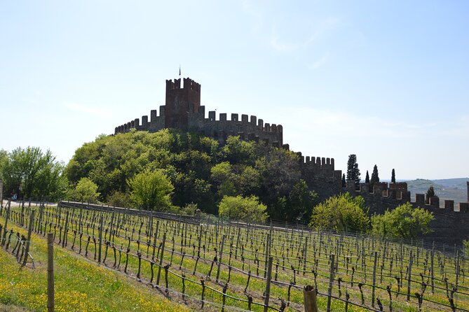 Pagus Wine Tours® - Soave and Amarone - Half day wine tour - My booking advice