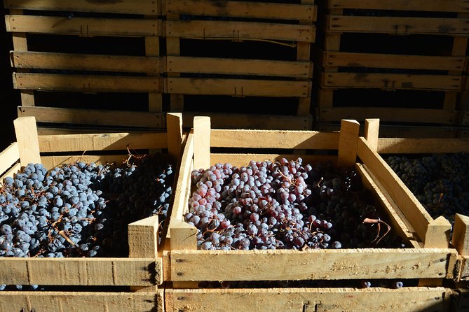 Pagus Wine Tours® - Two Amarone wineries - Half day wine tour - The second winery adds contrast, but may feel less polished