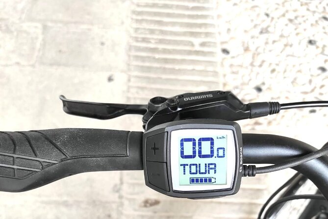 Palladian E-Bike Rental in & around Vicenza - What is included, and where costs rise