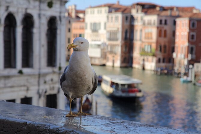 Photography workshop in the magical Venice (3h) - How the small group affects the lesson
