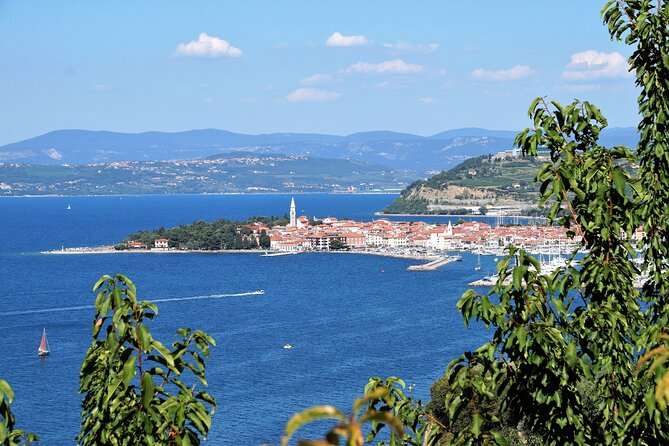 Piran & Panoramic Slovenian Coast from Trieste - Free time in Piran: useful, but limited