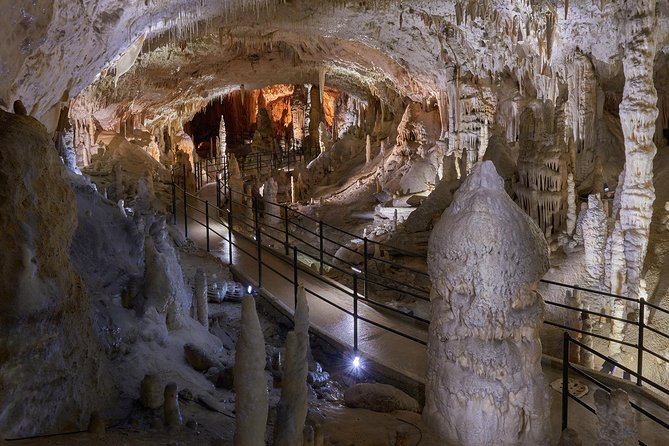 Postojna Cave & Predjama Castle - Shore Excursion from Trieste - Timing, language, and family details