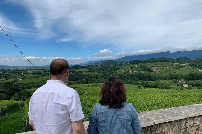 Premium Private Prosecco Hills Tour - 2 Wineries. Private tour. - A more technical tasting in Farra di Soligo