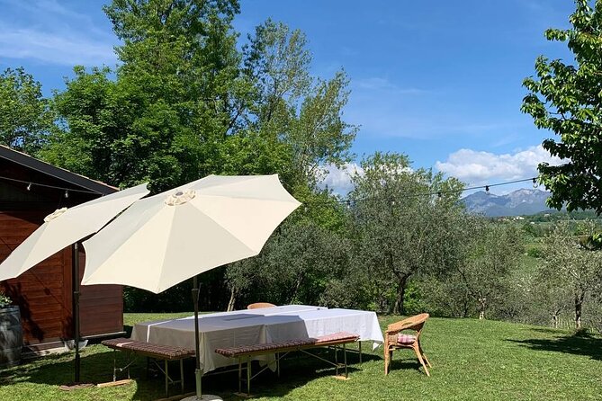 Premium Private Prosecco Hills Tour - 2 Wineries. Private tour. - Is $231.29 a good value?