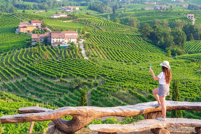 Premium Prosecco Hills Winery Tour with Prosecco Tastings & Food - Why this Prosecco day is worth a closer look
