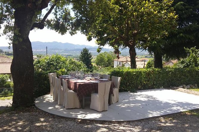 Premium Prosecco Hills Winery Tour with Prosecco Tastings & Food - Four glasses, local food, and a better way to taste