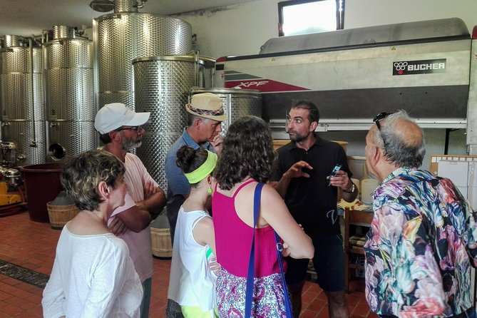 Premium Prosecco Hills Winery Tour with Prosecco Tastings & Food - What the strongest praise tells you