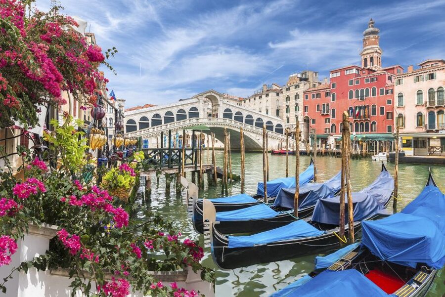 Private Art & Culture Tour in Dorsoduro and Academia, Venice - Two Hours Through Dorsoduro’s Smaller Corners