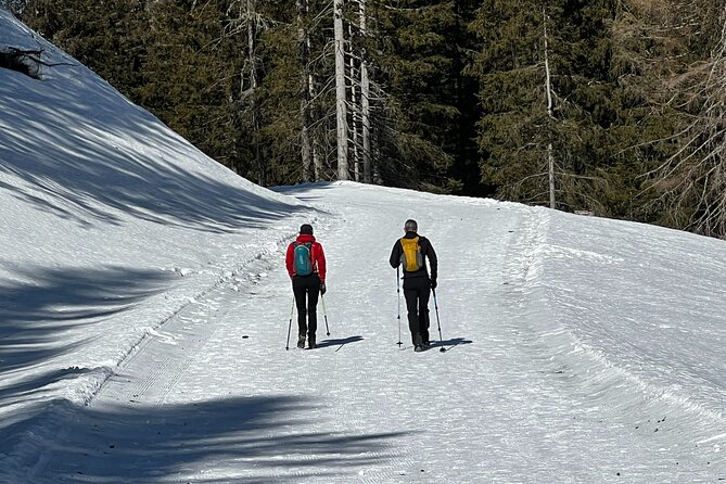 Private Dolomites Winter Day Tour from Venice - San Candido and the South Tyrolean character
