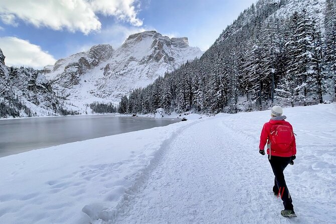 Private Guided Tour in the Dolomites from Venice - Lake Misurina, mountain air, and the best lunch choice