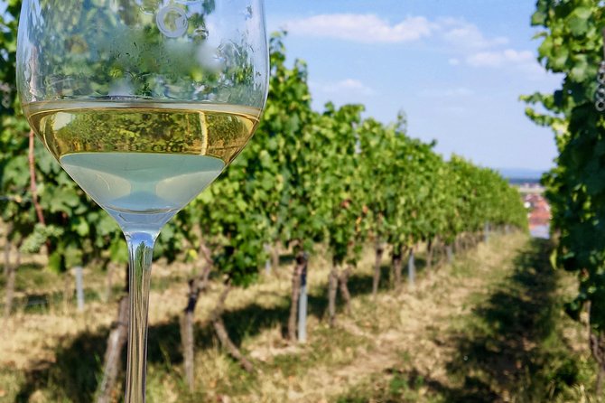 Private Half Day Wine Tasting tour: Road Of The Doges - What the four-hour schedule really gives you