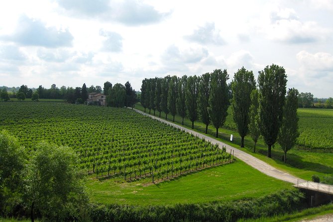Private Half Day Wine Tasting tour: Road Of The Doges - Who should book this wine outing?