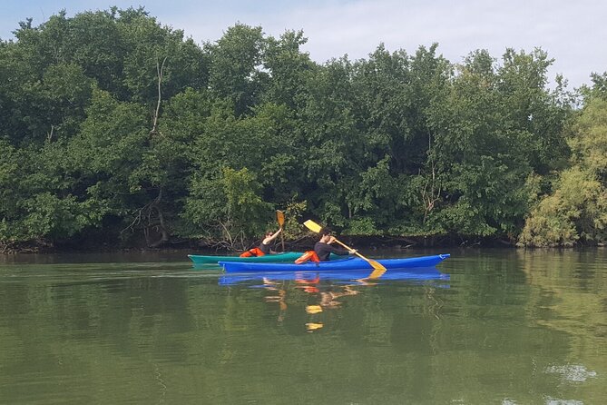 Private Kayak Tour in the Venetian Lagoon - Why this lagoon trip feels different from Venice proper