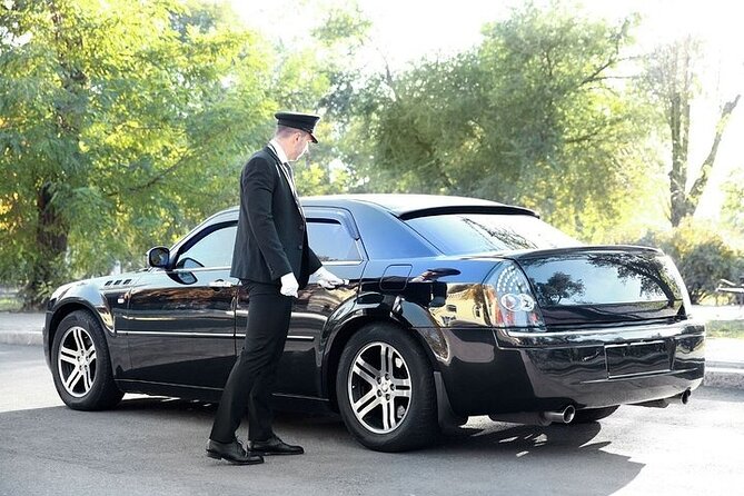 Private One-way Airport Transfer Venice Airport to Venice - Who will get the most from this service