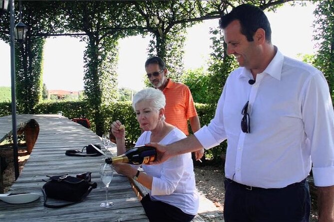 Private Prosecco , Hilltowns & Palladian Villa Tour from Venice - How the day feels in practice