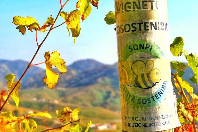 Private Prosecco Tour, with a certified Sommelier - Meeting Chiara, your sommelier guide