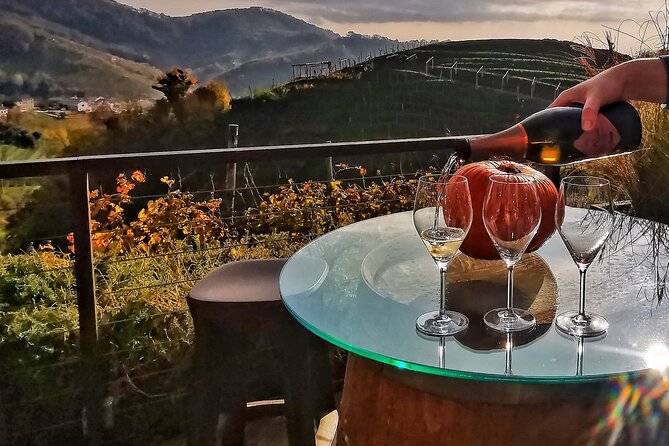 Private Prosecco Tour, with a certified Sommelier - Inside a traditional Valdobbiadene winery