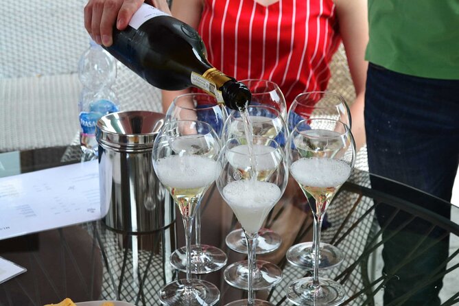 Private Tour: Prosecco Wine Tasting Day Trip with Lunch from Venice - Key points to know before booking