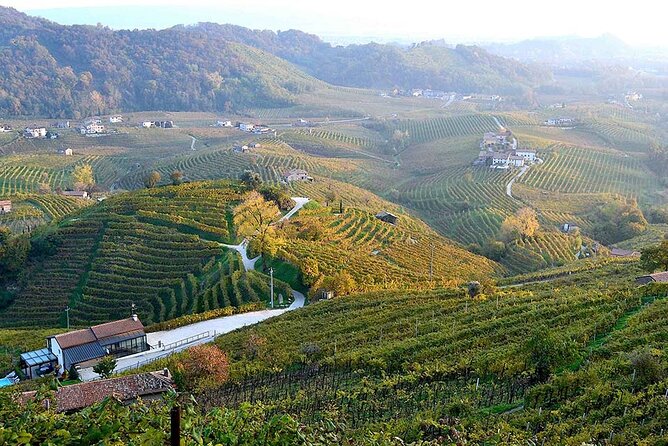 Private Tour: Prosecco Wine Tasting Day Trip with Lunch from Venice - Is $480.59 per person good value?