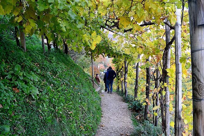 Private Tour: Prosecco Wine Tasting Day Trip with Lunch from Venice - Villa Maria and the first three tastings