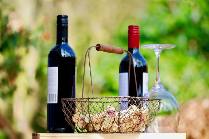 Private Valpolicella Day Trip from Venice: Wine Tasting and Verona - The guide can make or break the day