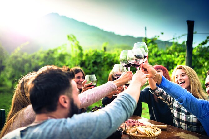Private Valpolicella Day Trip from Venice: Wine Tasting and Verona - Villa Serego Alighieri and the Amarone tasting
