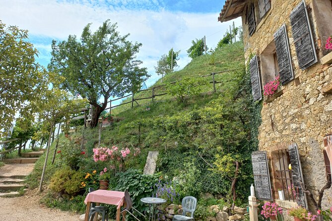Prosecco Hills Day Trip from Venice & Treviso: 2 Wineries - The day in five useful points