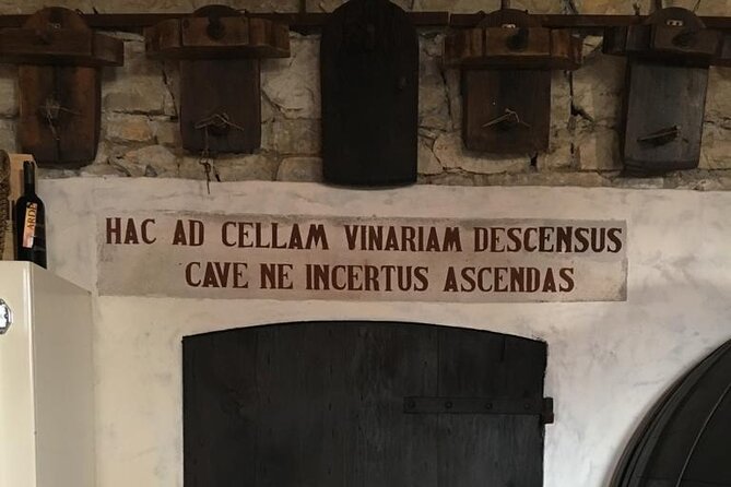 Prosecco Hills Day Trip from Venice & Treviso: 2 Wineries - Your first cellar and three DOCG wines