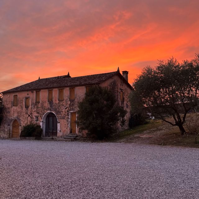Prosecco Hills: Lovely Tasting Night - The family story and the value of a live host