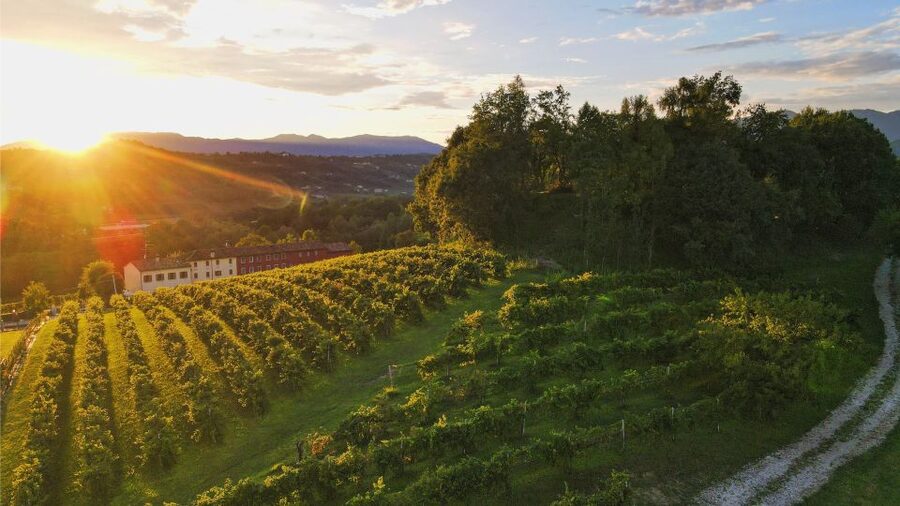 Prosecco Hills: Lovely Tasting Night - Accessibility, languages, and dietary planning