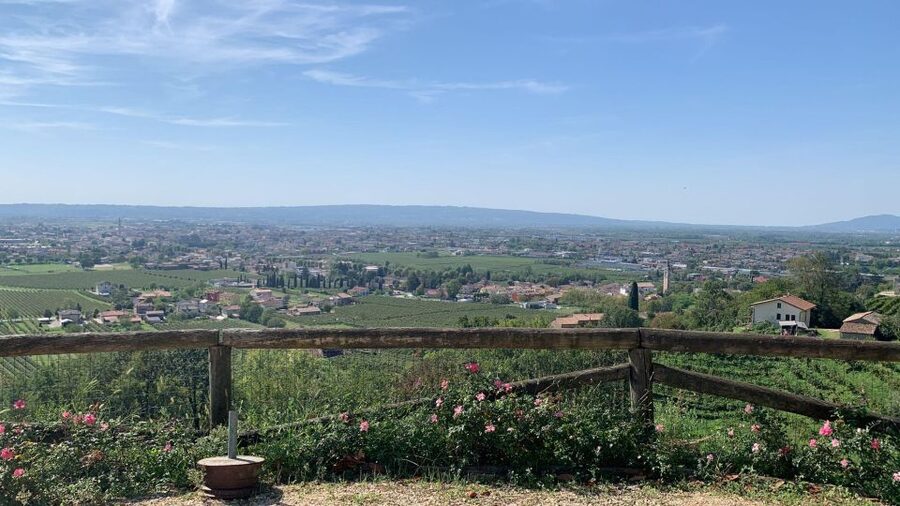 Prosecco Hills Private Tour All inclusive. 2 wineries+lunch - What the $226.57 price includes