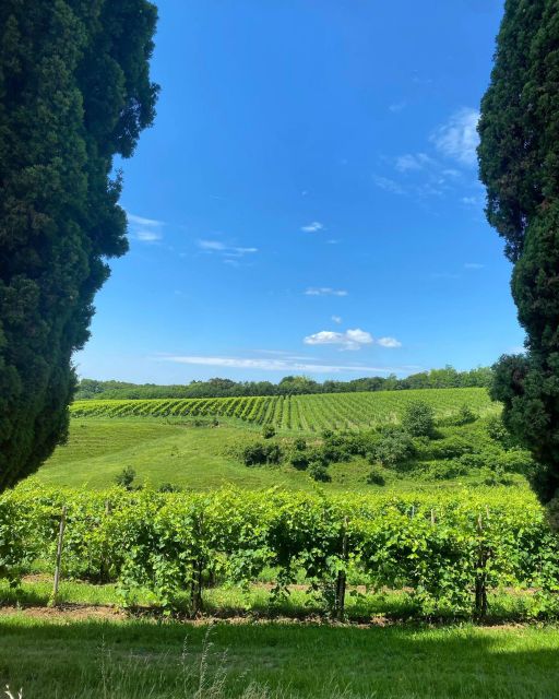 Prosecco Hills Private Tour All inclusive. 2 wineries+lunch - Guide style and languages