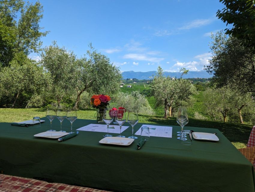 Prosecco Hills Private Tour All inclusive. 2 wineries+lunch - Who will enjoy this tour most